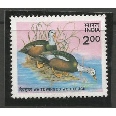 India - Aves (FAU-IN04)