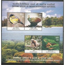 India - Aves/Fauna