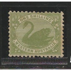 Austrália Ocidental - 81 - Cisne