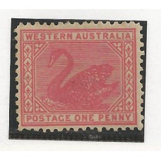 Australia Ocidental - 62 - Cisne