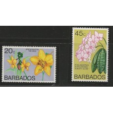Barbados - Orquídeas(FLO0019)