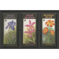 Belgica - Orquídea/Flores(FLO-BELG1)