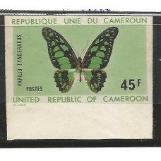 Cameroun - Borboleta(FAU-C023)