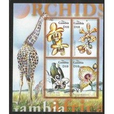 Gambia - Orquídeas/girafa(FLO0068)