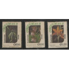 Guatemala - Orquídeas(FLO-GUA01)