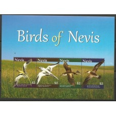 Nevis - Aves (FAU-NV006)